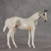 Gretta OOAK Stock Horse Weanling by Jess Hamill VV26