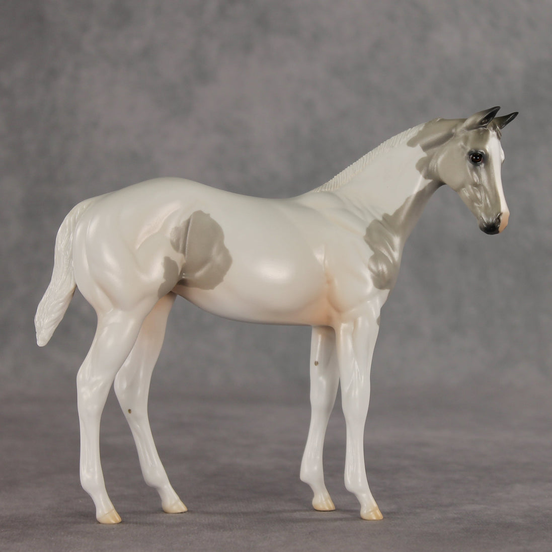 Gretta OOAK Stock Horse Weanling by Jess Hamill VV26