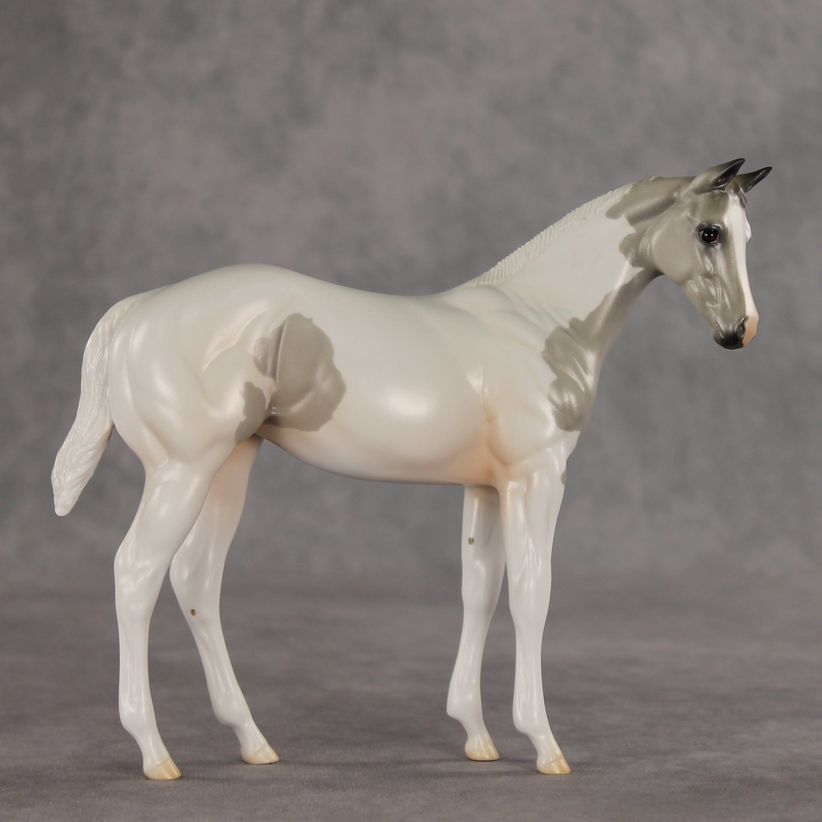 Gretta OOAK Stock Horse Weanling by Jess Hamill VV26