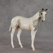Gretta OOAK Stock Horse Weanling by Jess Hamill VV26
