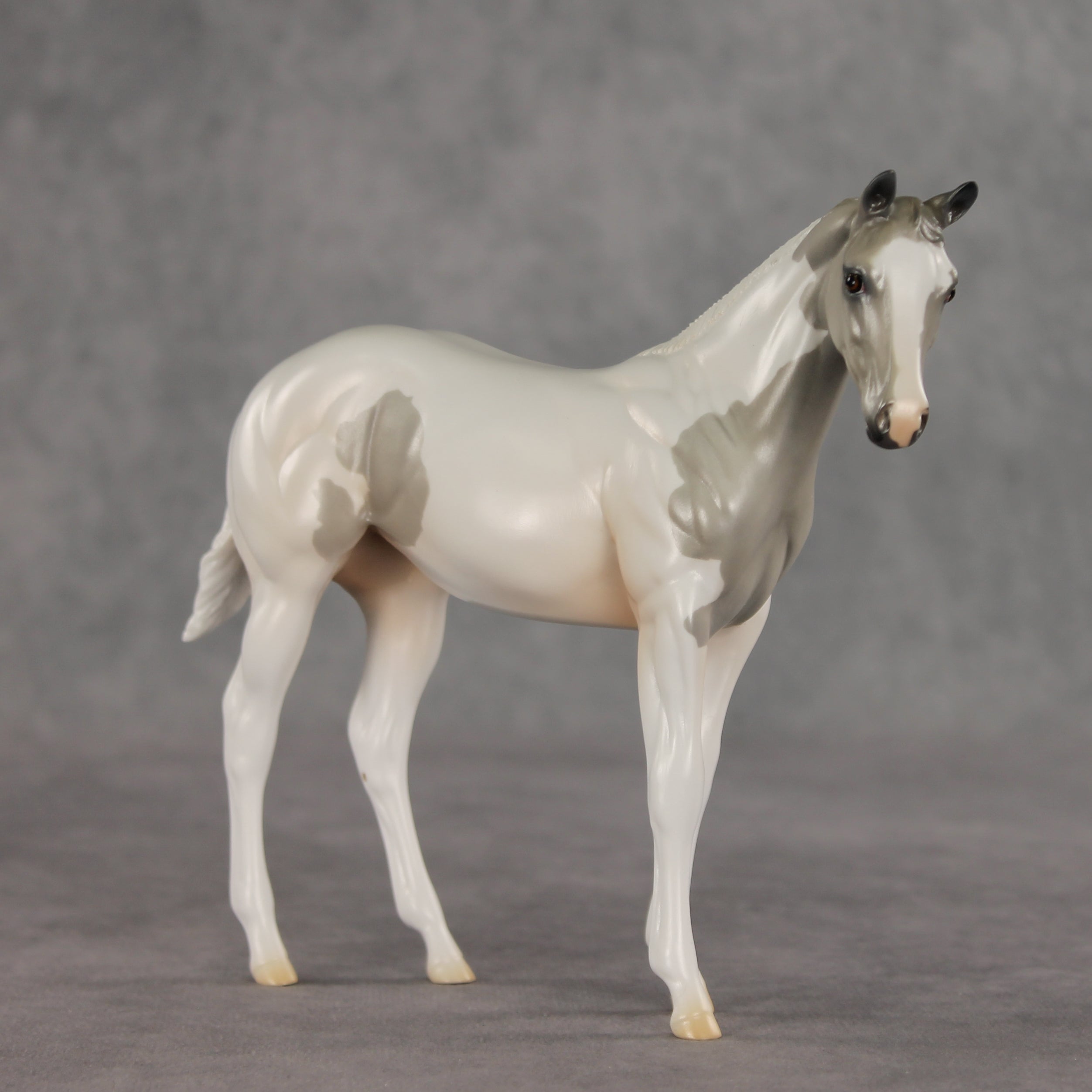 Gretta OOAK Stock Horse Weanling by Jess Hamill VV26