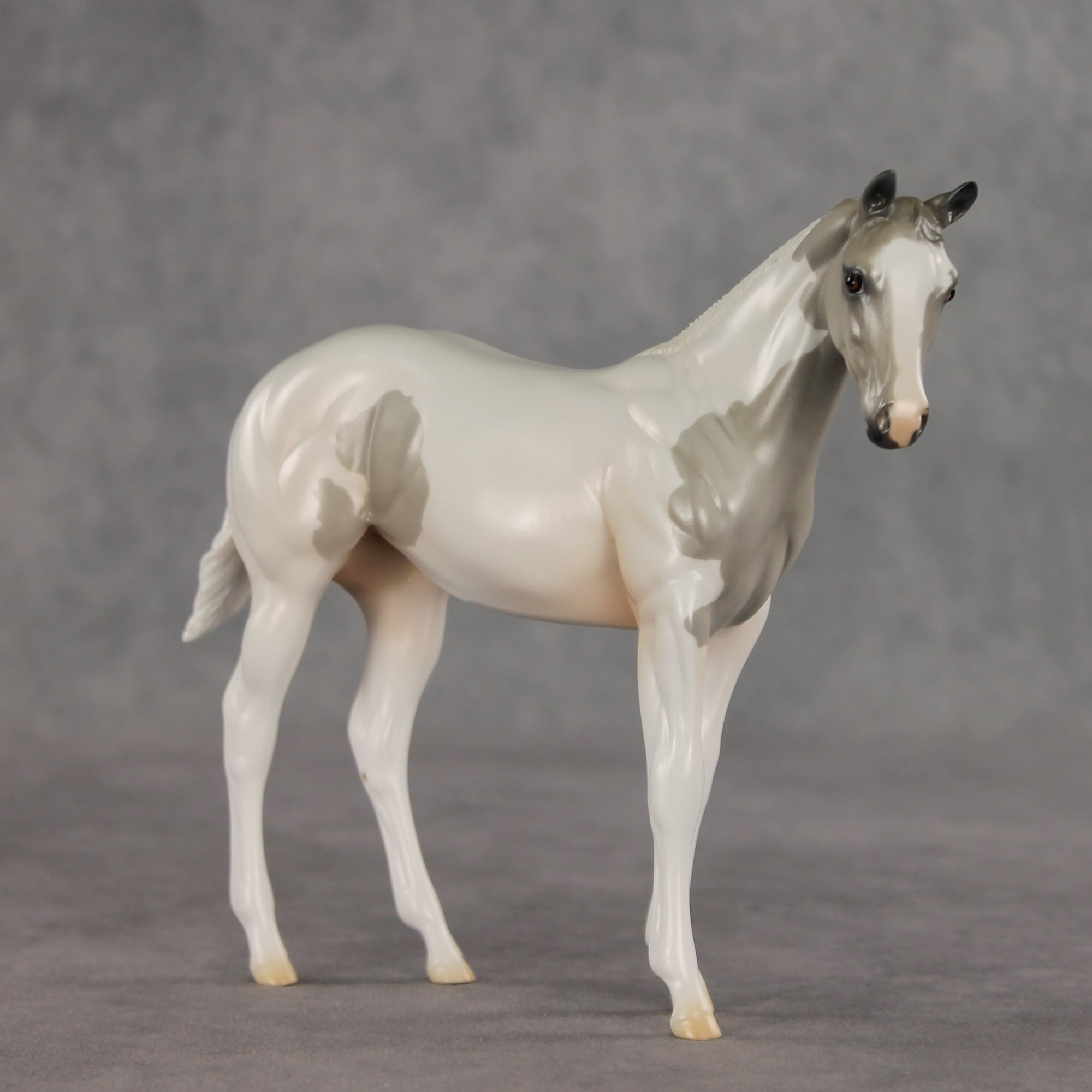 Gretta OOAK Stock Horse Weanling by Jess Hamill VV26