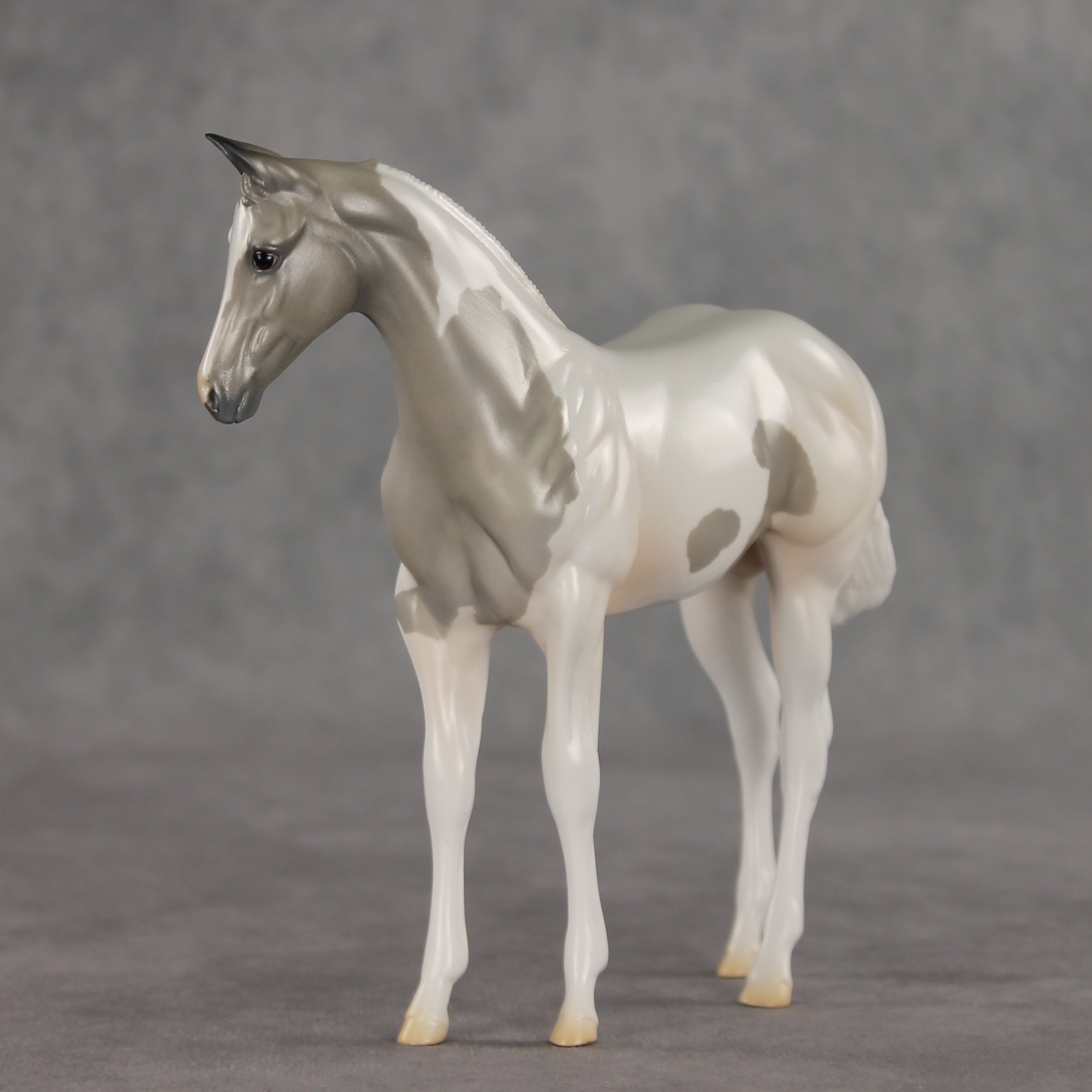 Gretta OOAK Stock Horse Weanling by Jess Hamill VV26