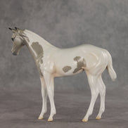 Gretta OOAK Stock Horse Weanling by Jess Hamill VV26
