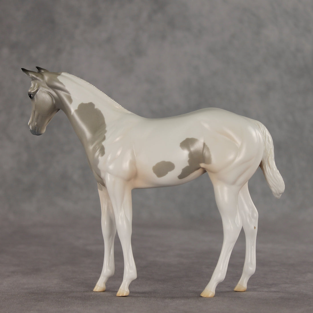 Gretta OOAK Stock Horse Weanling by Jess Hamill VV26