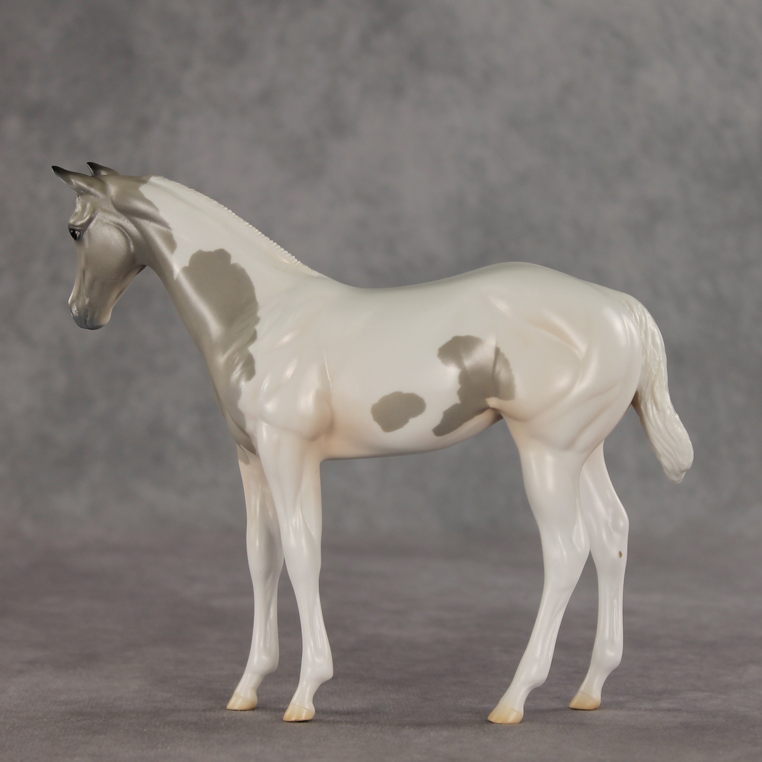 Gretta OOAK Stock Horse Weanling by Jess Hamill VV26