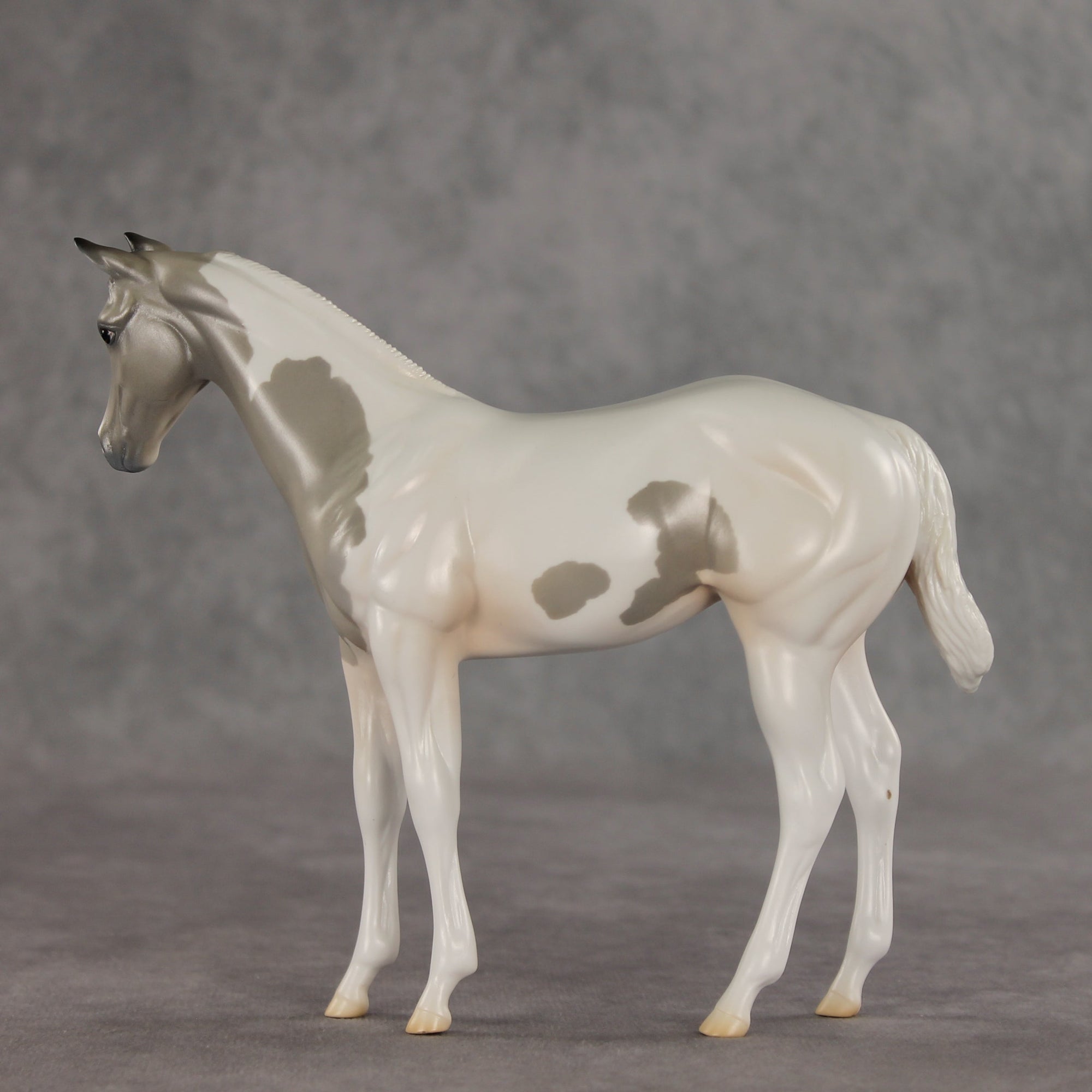 Gretta OOAK Stock Horse Weanling by Jess Hamill VV26