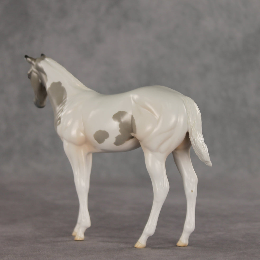 Gretta OOAK Stock Horse Weanling by Jess Hamill VV26