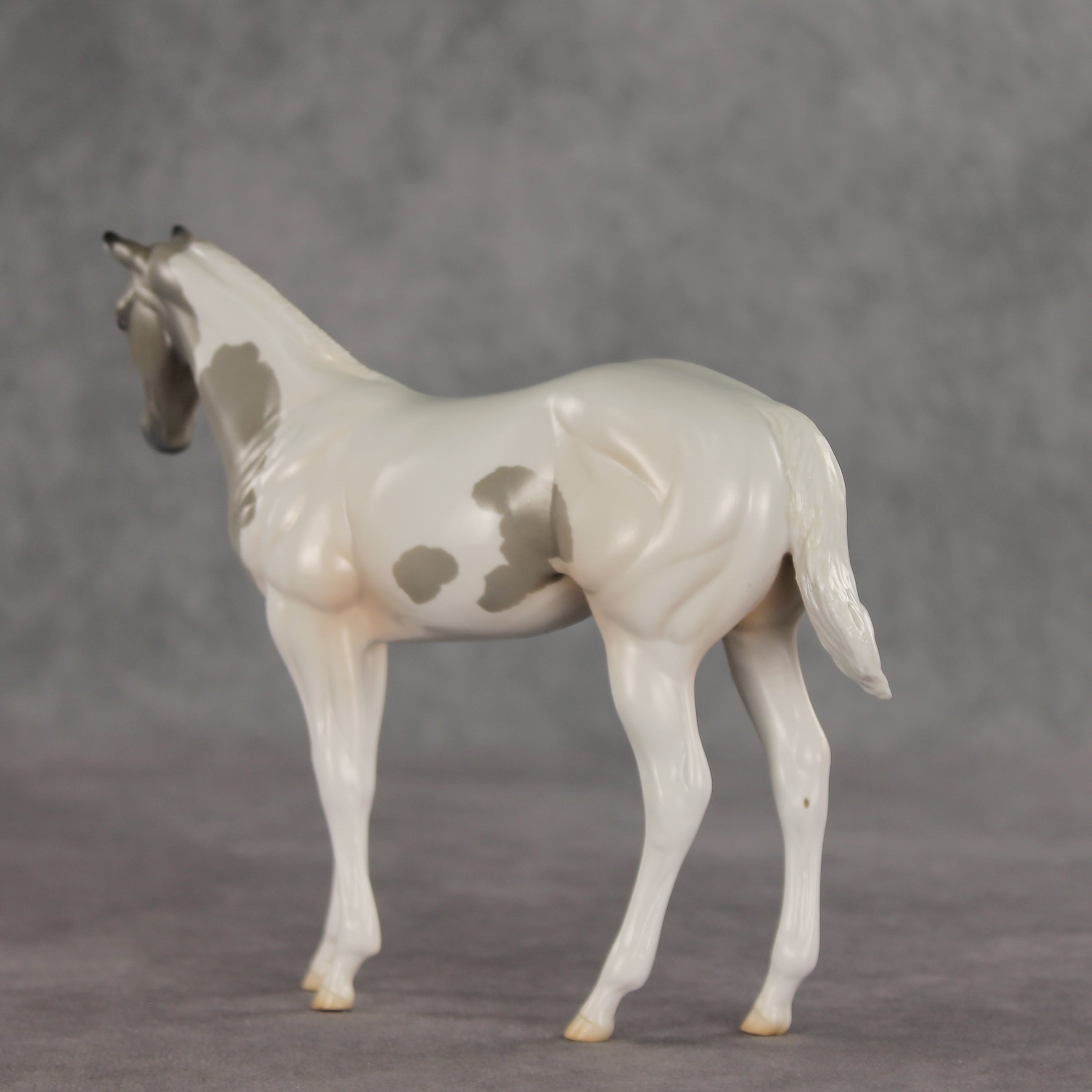 Gretta OOAK Stock Horse Weanling by Jess Hamill VV26