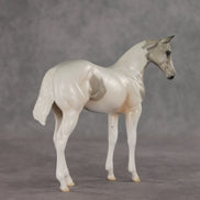 Gretta OOAK Stock Horse Weanling by Jess Hamill VV26