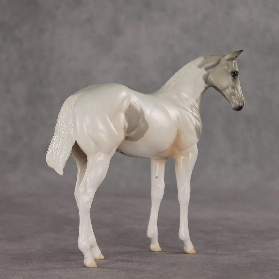 Gretta OOAK Stock Horse Weanling by Jess Hamill VV26