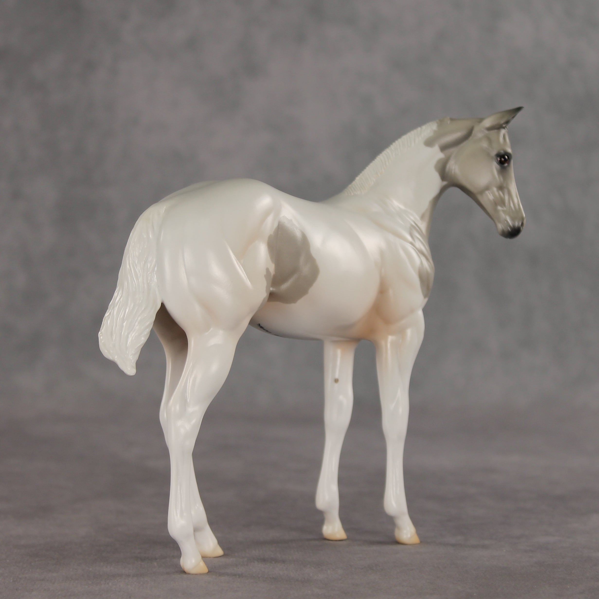 Gretta OOAK Stock Horse Weanling by Jess Hamill VV26