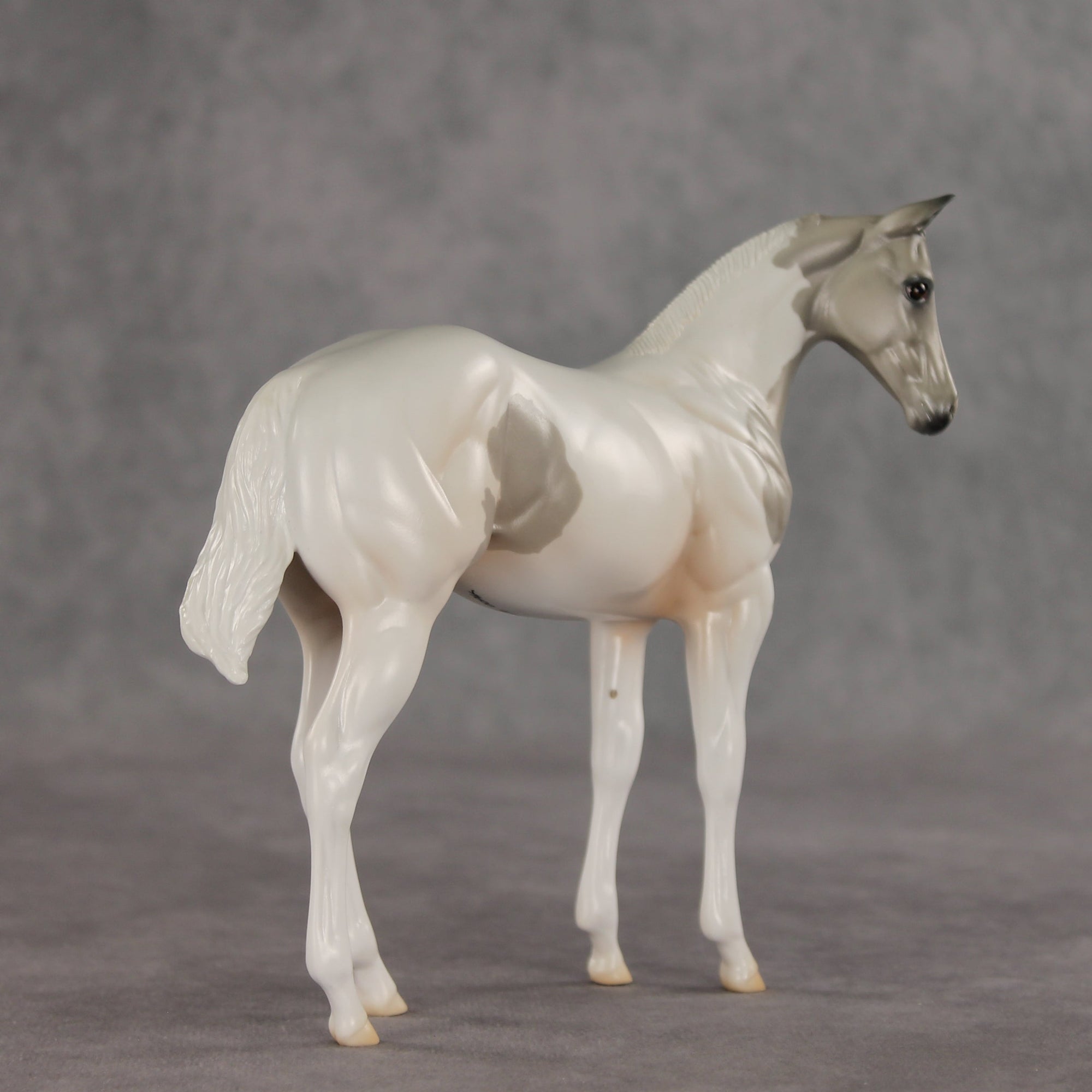 Gretta OOAK Stock Horse Weanling by Jess Hamill VV26