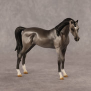 Grey Ghost OOAK EFCM Chip Arabian by Kristen Cermele GS26
