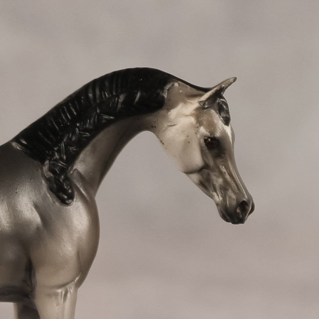Grey Ghost OOAK EFCM Chip Arabian by Kristen Cermele GS26