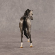 Grey Ghost OOAK EFCM Chip Arabian by Kristen Cermele GS26