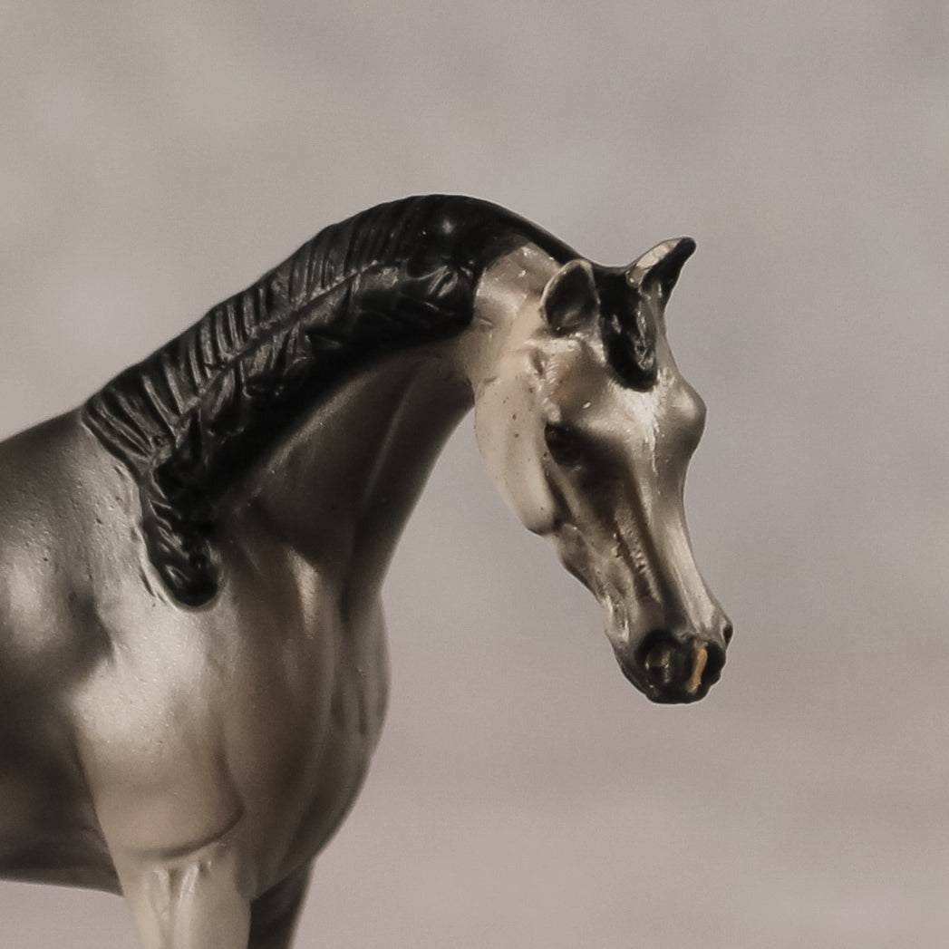 Grey Ghost OOAK EFCM Chip Arabian by Kristen Cermele GS26