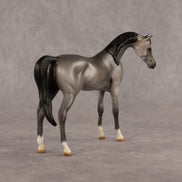Grey Ghost OOAK EFCM Chip Arabian by Kristen Cermele GS26