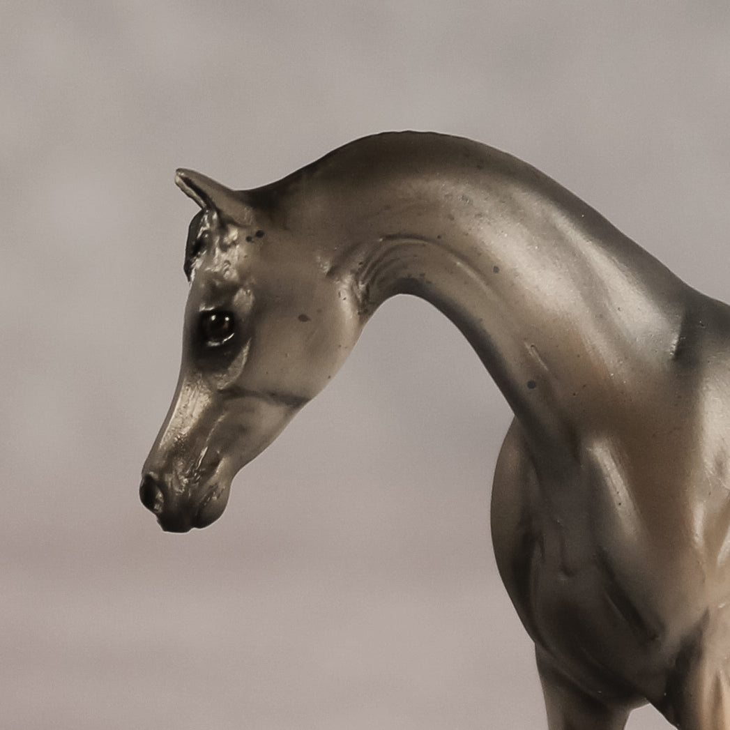 Grey Ghost OOAK EFCM Chip Arabian by Kristen Cermele GS26