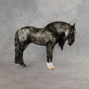 Greyt Minds OOAK EFCM Andalusian by Carly Kudalis Best Offer 10.13.2026