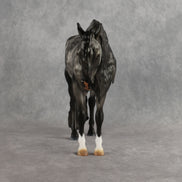 Greyt Minds OOAK EFCM Andalusian by Carly Kudalis Best Offer 10.13.2026