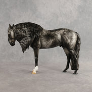 Greyt Minds OOAK EFCM Andalusian by Carly Kudalis Best Offer 10.13.2026