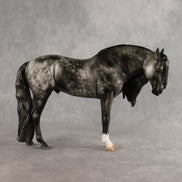 Greyt Minds OOAK EFCM Andalusian by Carly Kudalis Best Offer 10.13.2026