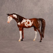 Groovin OOAK Pebble Arabian Mare by Anna Rieck EQ26
