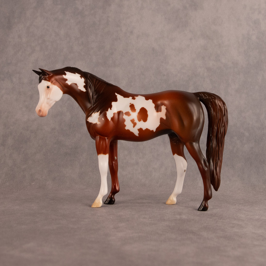 Groovin OOAK Pebble Arabian Mare by Anna Rieck EQ26