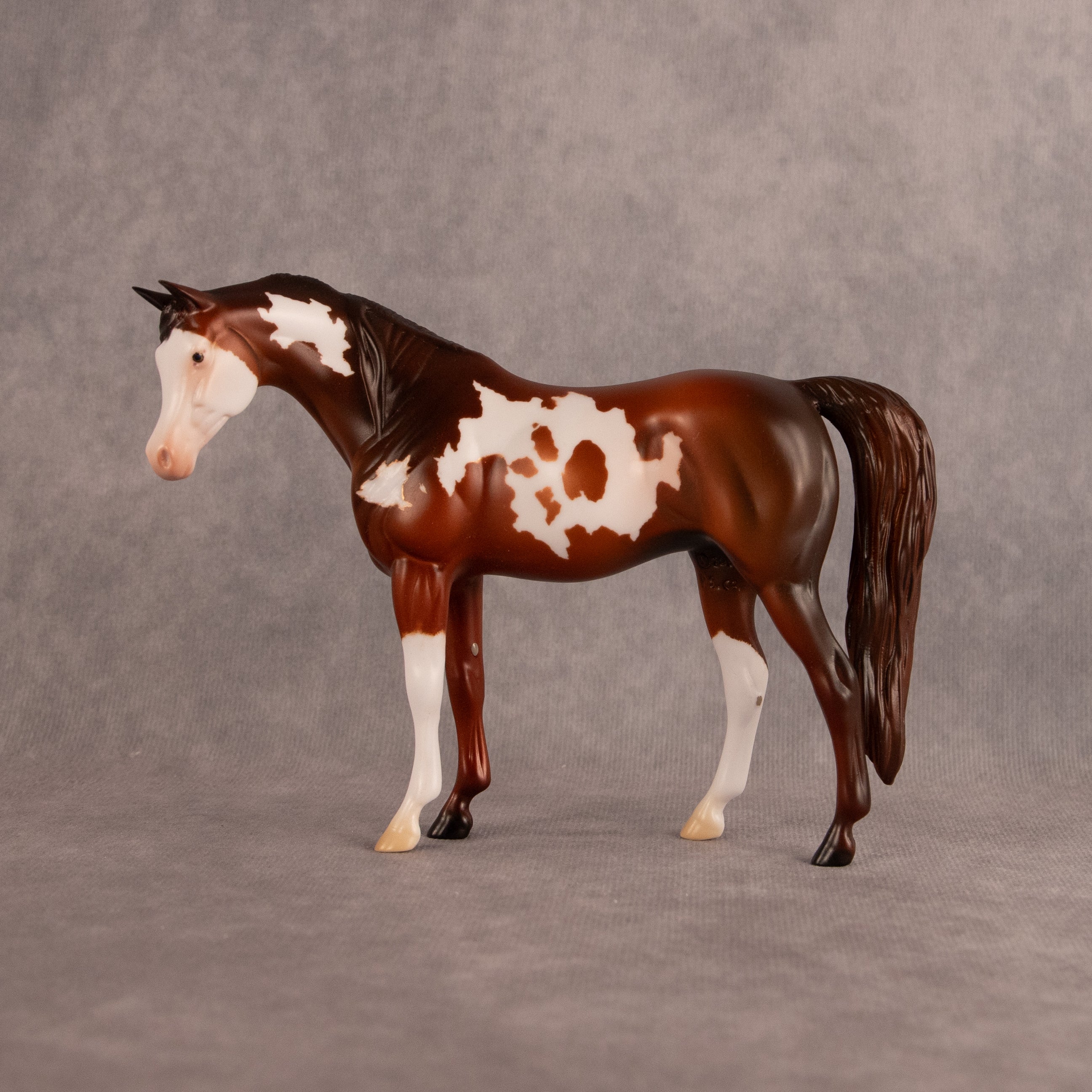 Groovin OOAK Pebble Arabian Mare by Anna Rieck EQ26