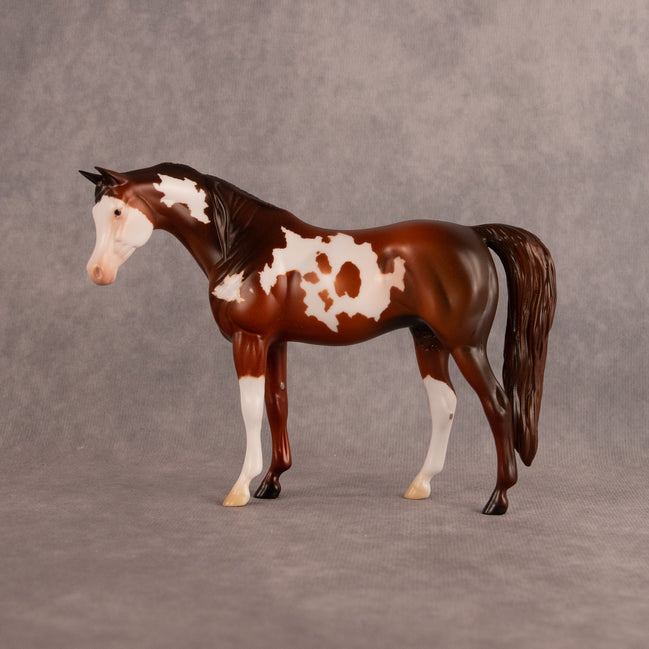 Groovin OOAK Pebble Arabian Mare by Anna Rieck EQ26