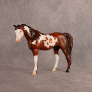Groovin OOAK Pebble Arabian Mare by Anna Rieck EQ26