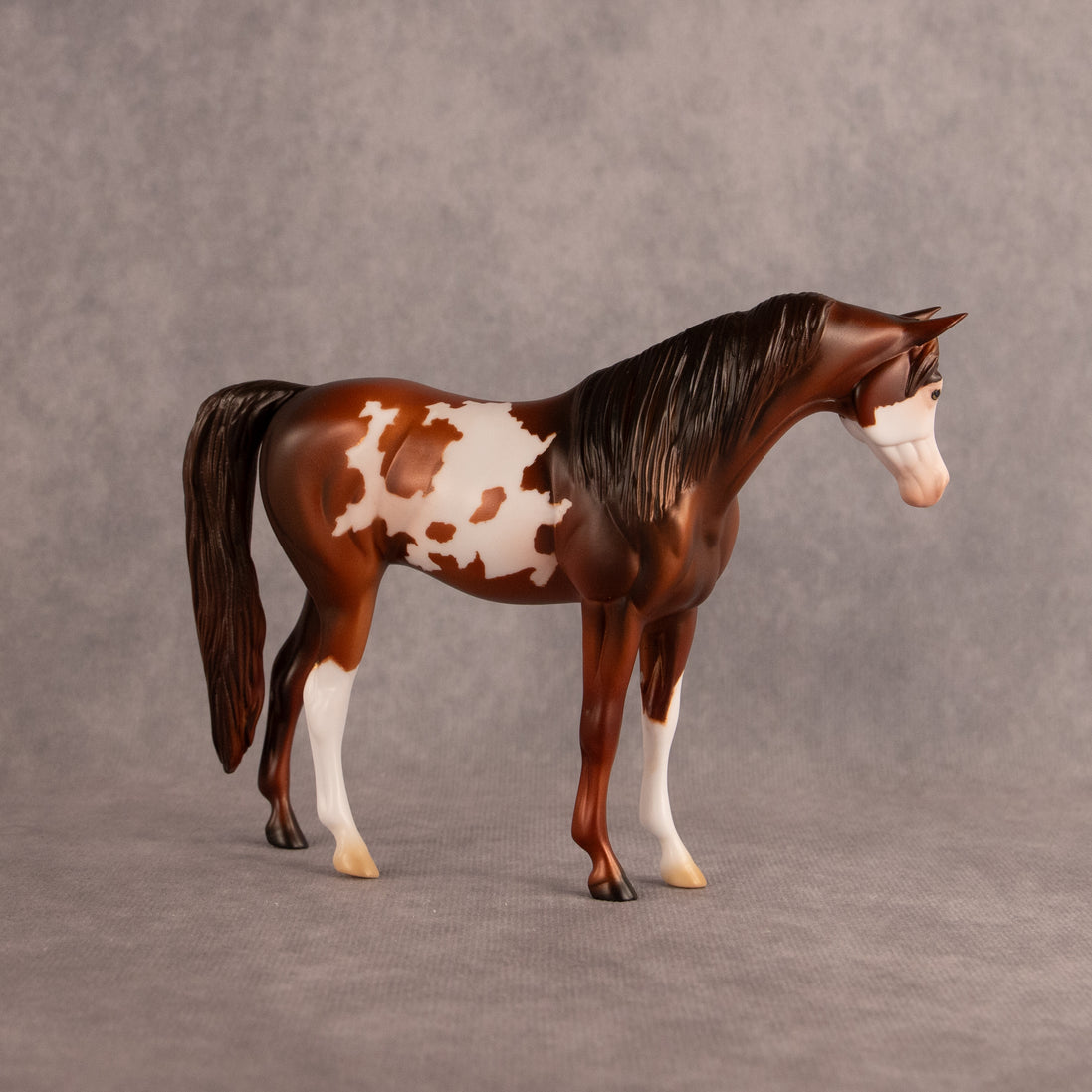 Groovin OOAK Pebble Arabian Mare by Anna Rieck EQ26