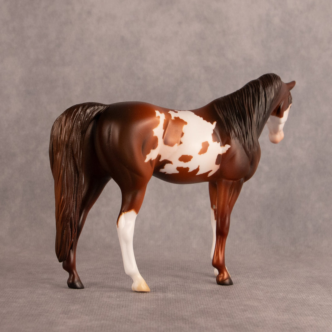 Groovin OOAK Pebble Arabian Mare by Anna Rieck EQ26