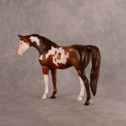 Groovin OOAK Pebble Arabian Mare by Anna Rieck EQ26