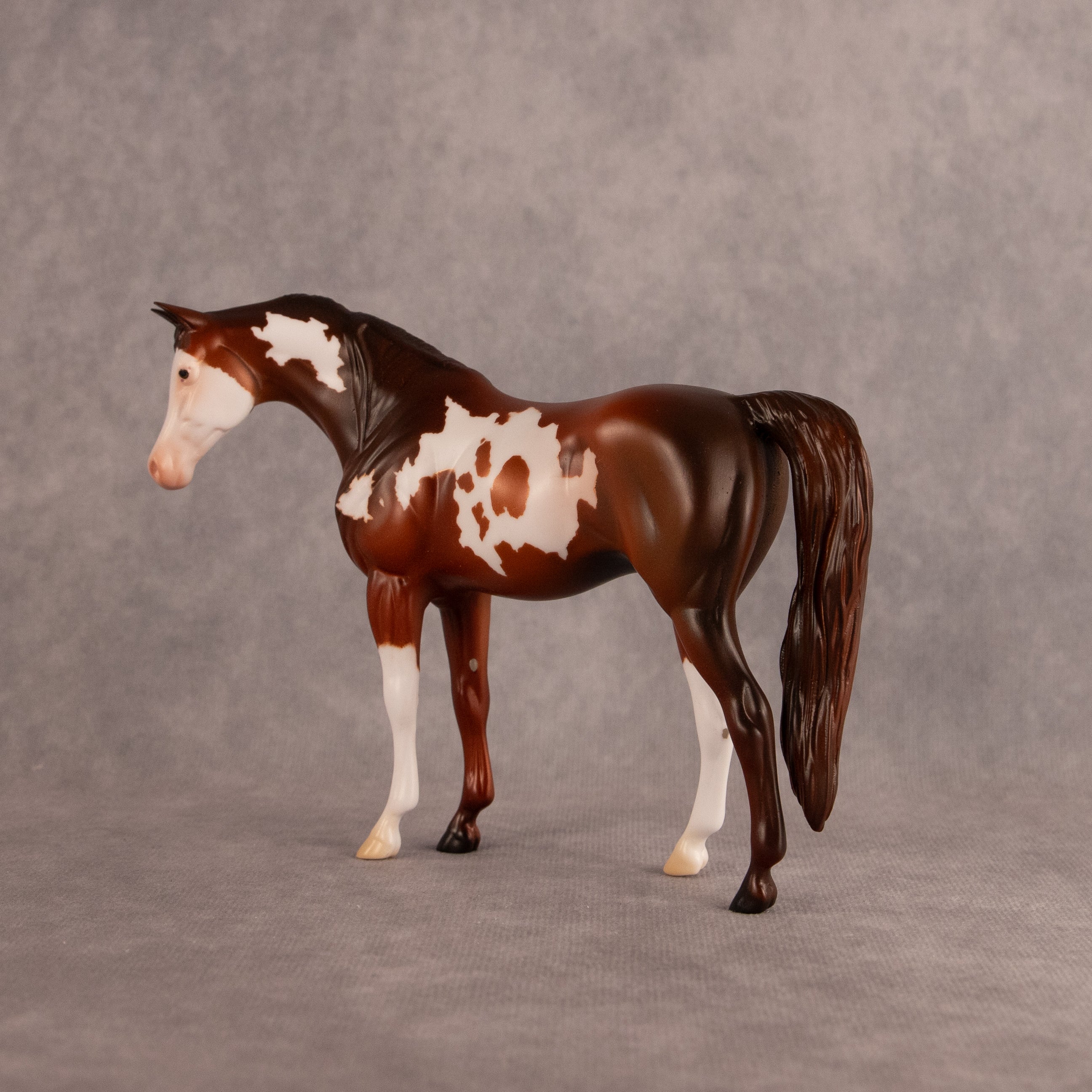 Groovin OOAK Pebble Arabian Mare by Anna Rieck EQ26