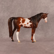 Groovin OOAK Pebble Arabian Mare by Anna Rieck EQ26