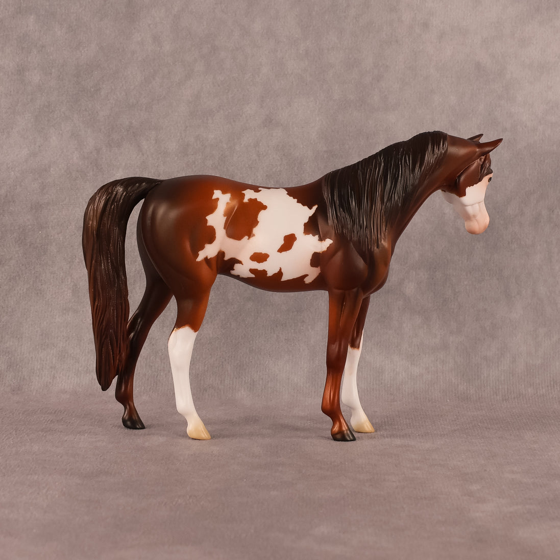 Groovin OOAK Pebble Arabian Mare by Anna Rieck EQ26