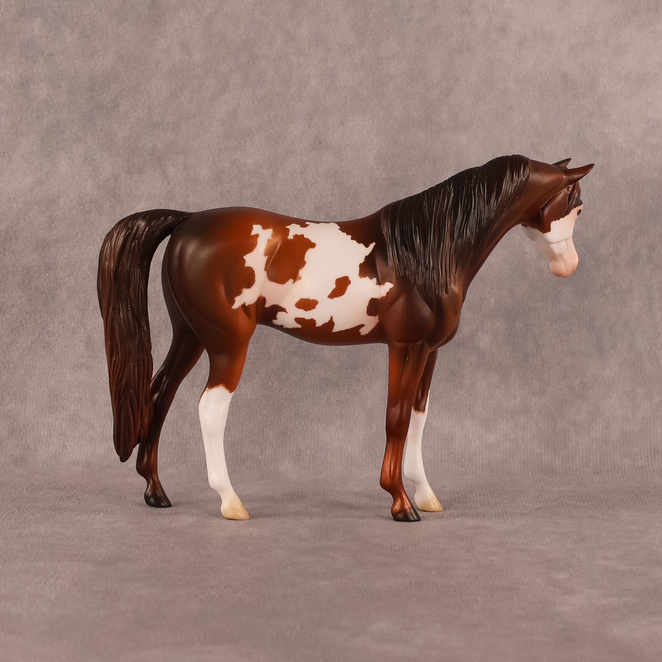 Groovin OOAK Pebble Arabian Mare by Anna Rieck EQ26