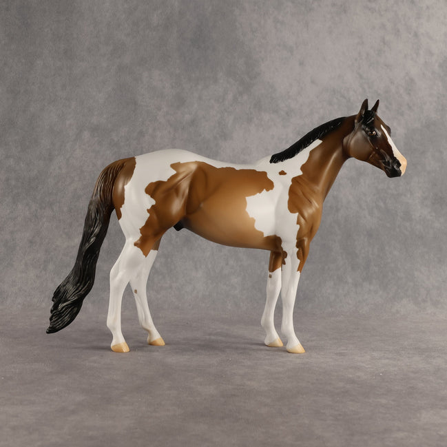 Grounded OOAK Ideal Stock Horse by Alex Fortman SHCF26