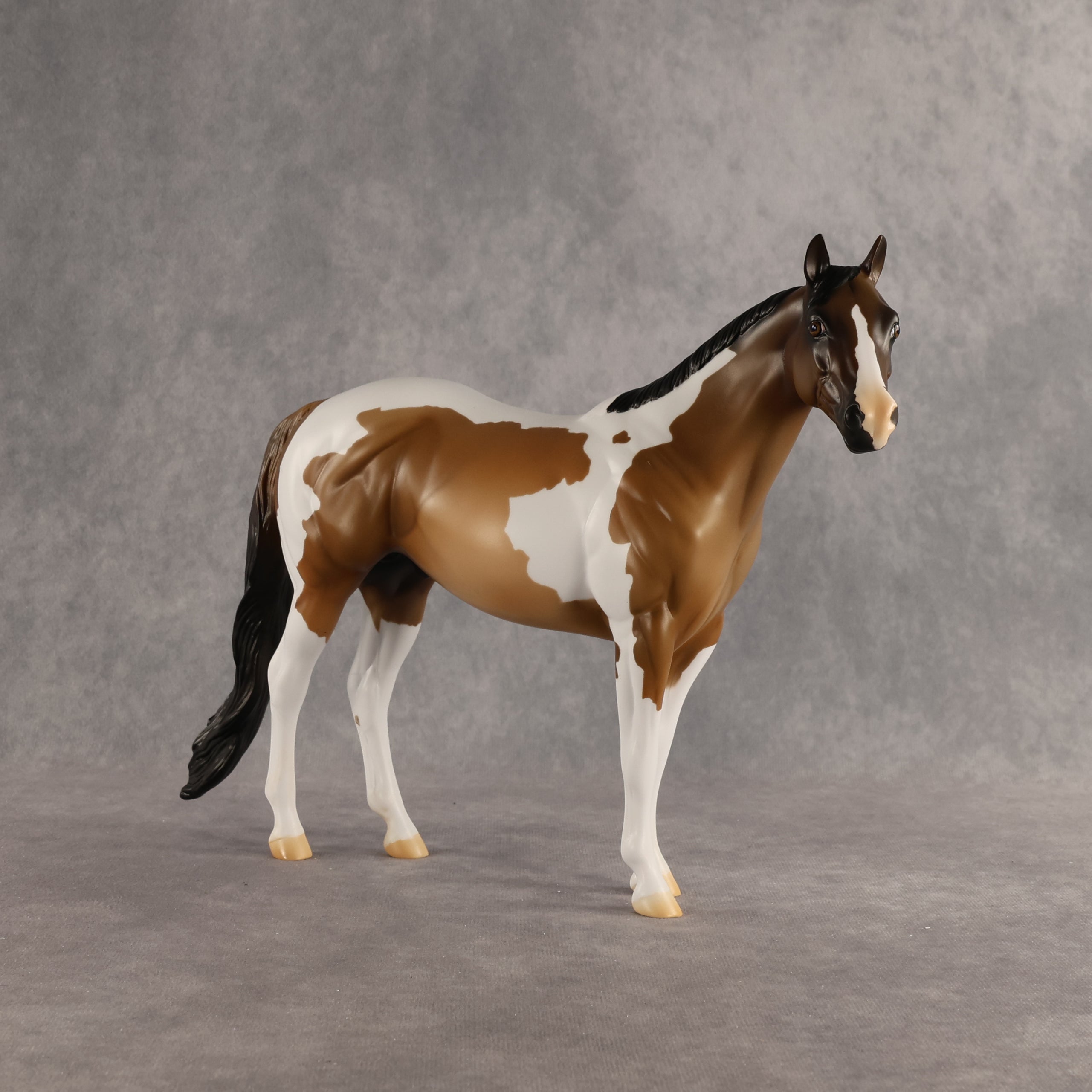 Grounded OOAK Ideal Stock Horse by Alex Fortman SHCF26