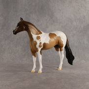 Grounded OOAK Ideal Stock Horse by Alex Fortman SHCF26