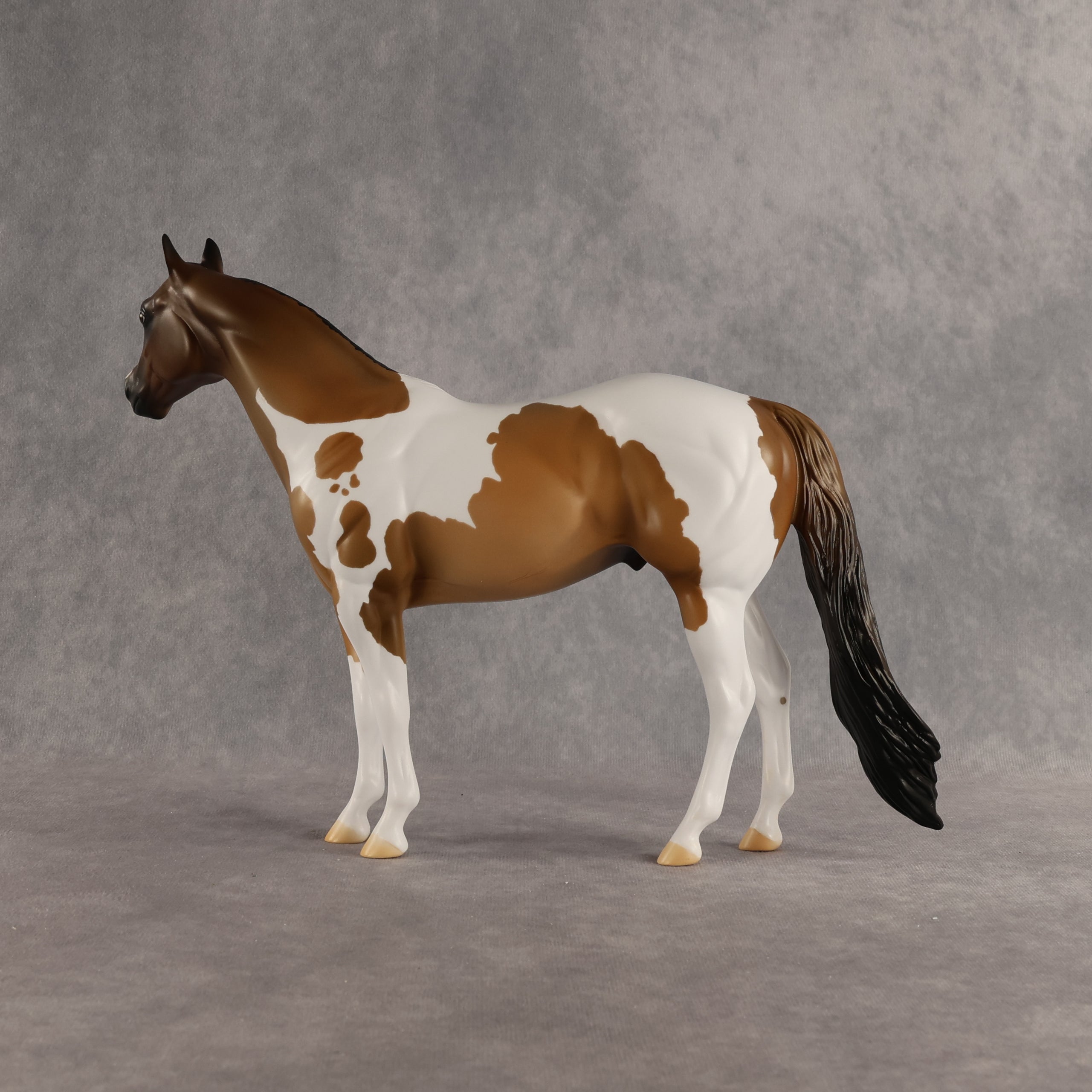 Grounded OOAK Ideal Stock Horse by Alex Fortman SHCF26