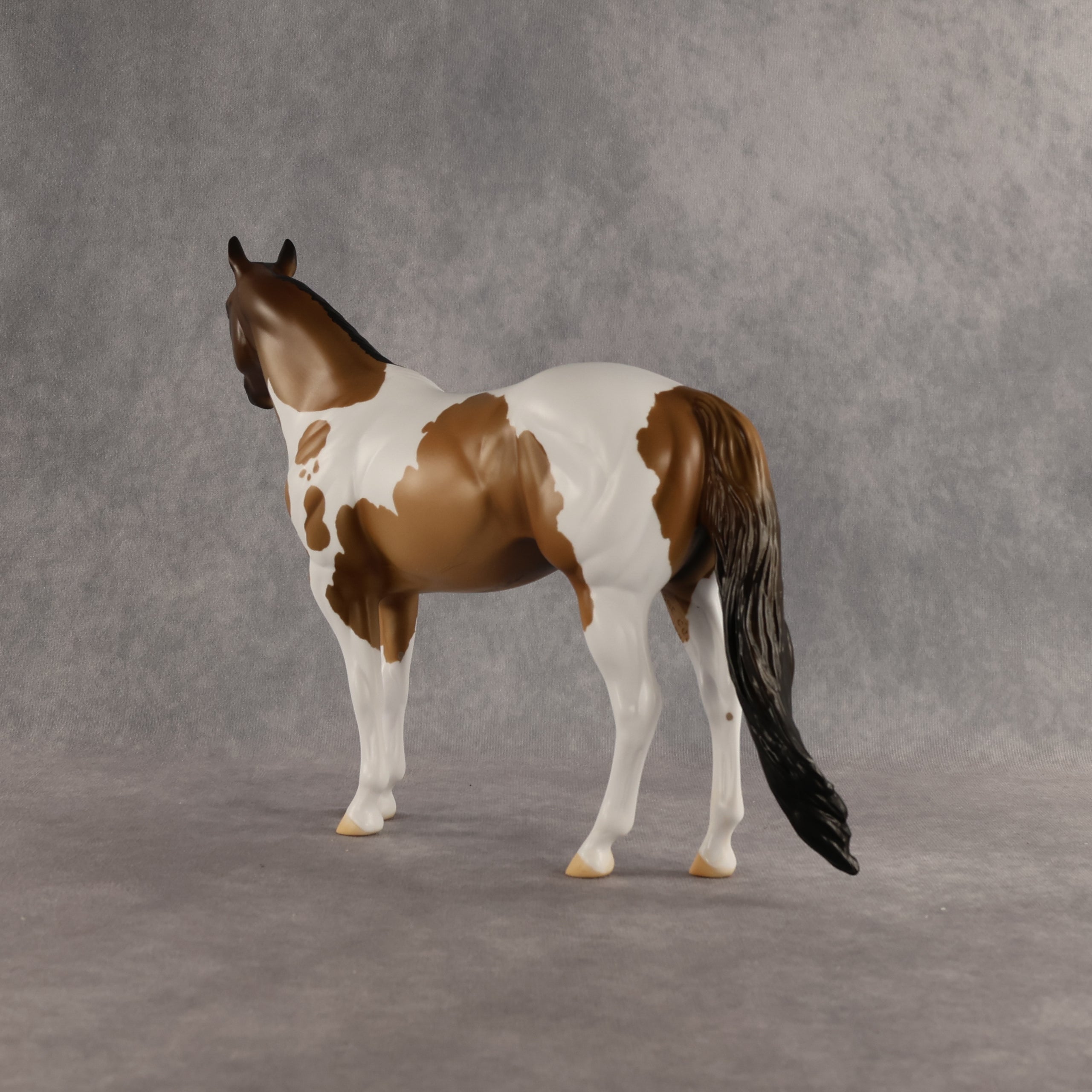 Grounded OOAK Ideal Stock Horse by Alex Fortman SHCF26