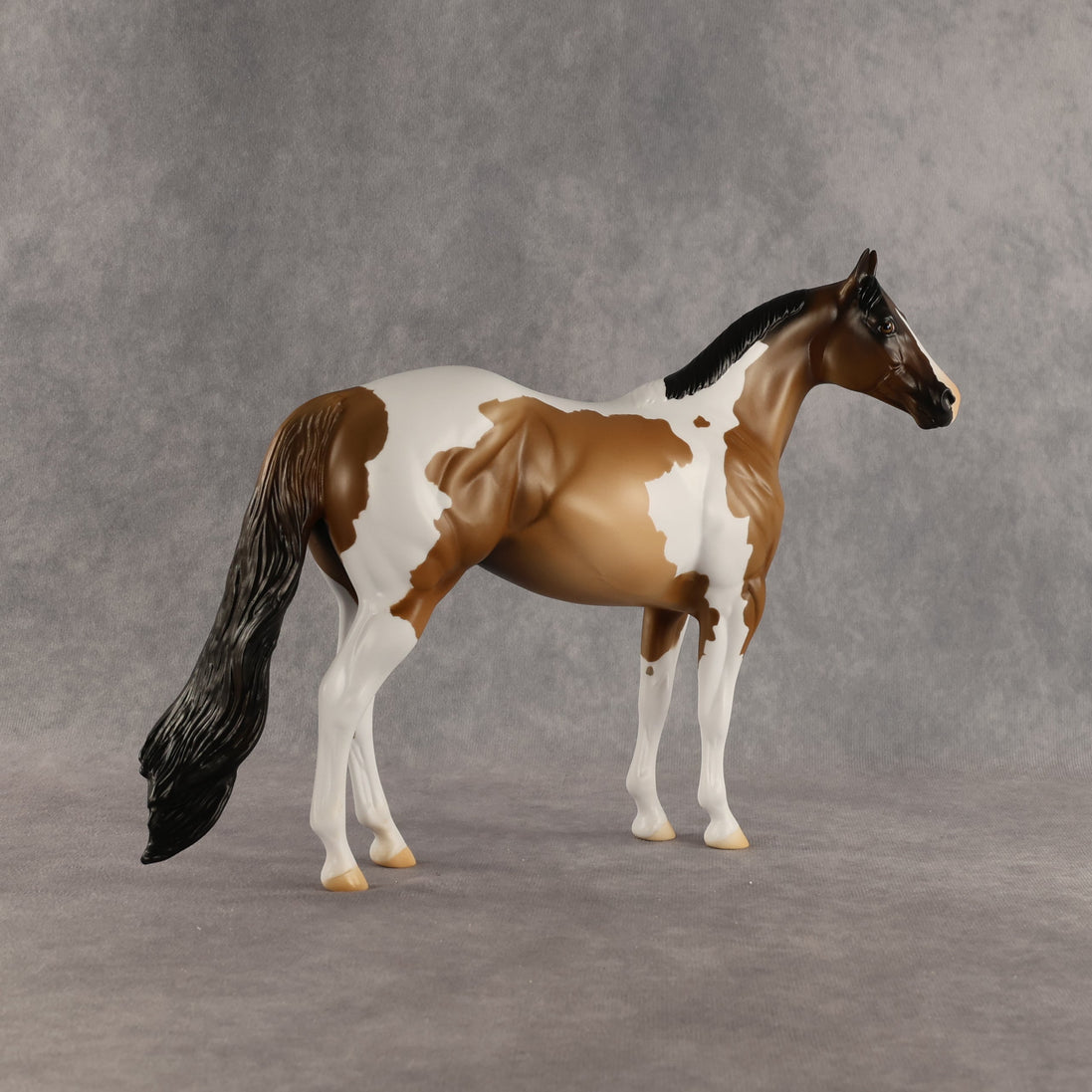Grounded OOAK Ideal Stock Horse by Alex Fortman SHCF26