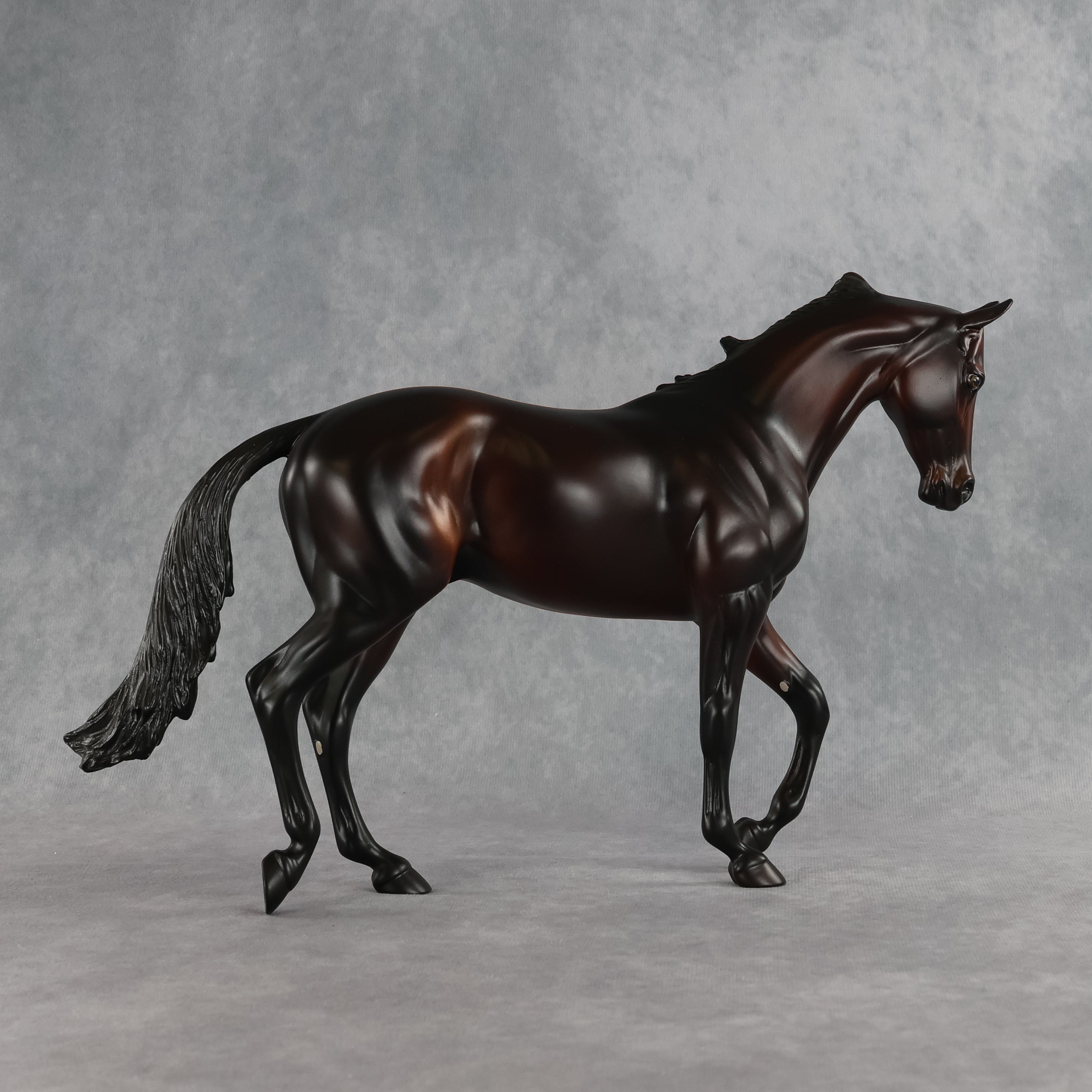 Gulf Stream OOAK Thoroughbred by Anna Rieck SHCF26