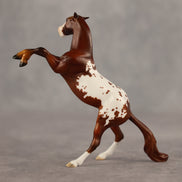 Gwen OOAK FCM Chip Mustang by Jess Hamill SHCF26