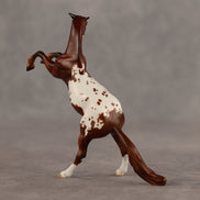 Gwen OOAK FCM Chip Mustang by Jess Hamill SHCF26