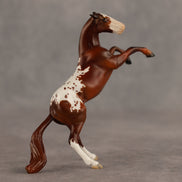 Gwen OOAK FCM Chip Mustang by Jess Hamill SHCF26