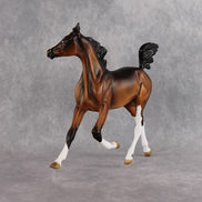 Hadiya OOAK EFCM Arabian Yearling by Kristen Cermele GS26